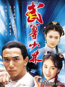 武尊少林在线观看,在线观看，领略中华武术巅峰对决