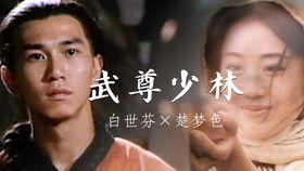 武尊少林在线观看,在线观看，领略中华武术巅峰对决