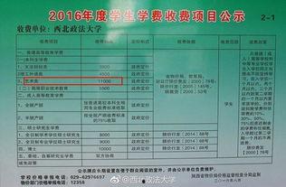 新闻爆料收费标准,透明化背后的真相