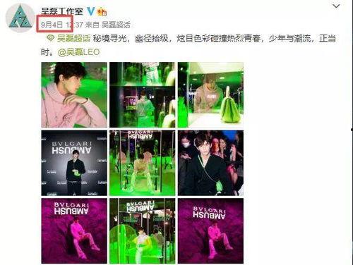 爆料视频从哪里查询到的,爆料视频来源追踪，揭秘幕后真相