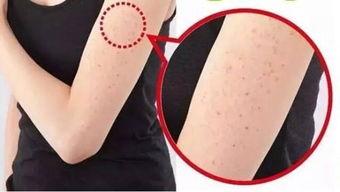 吃鸡皮肤爆料最新情人节,浪漫甜蜜，爱意满满