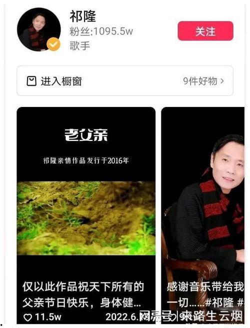 乐凡的爆料录音视频在哪看,揭秘事件真相