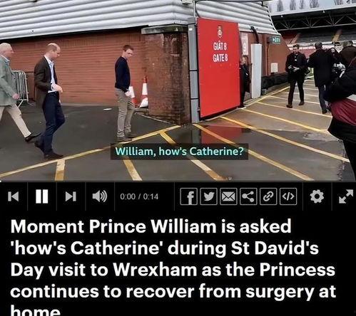 凯特舅舅爆料内容视频,王室内部惊人爆料视频内容大起底