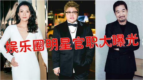 娱乐圈大爆料有哪些,揭秘明星背后的秘密与真相