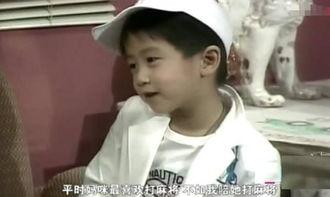 谢霆锋爆料自己爸爸视频,揭秘家族往事背后的惊人真相