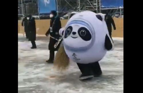 都市爆料冰墩墩视频大全,都市爆料视频大全带你领略冬奥萌宠风采