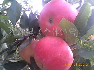 红苹果爆料最新消息,最新热点事件深度解析