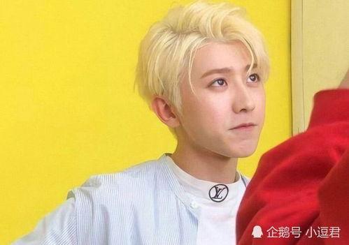 蔡徐坤爆料自己视频,揭秘网络爆红背后的故事