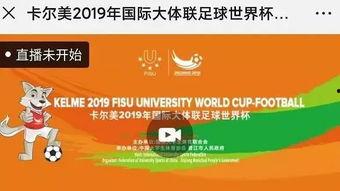 世界杯今日爆料直播,今日直播揭秘精彩瞬间与幕后故事
