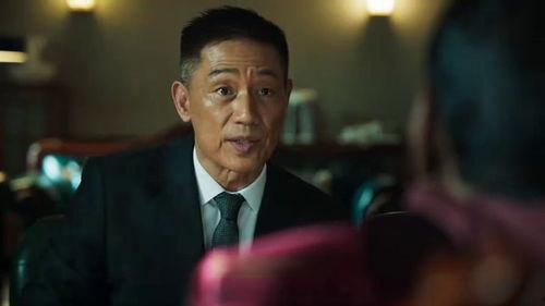 林雪爆料视频大全集在线观看,揭秘娱乐圈幕后故事