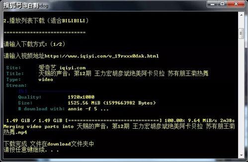 全网最真实爆料视频下载,最真实爆料视频幕后真相大起底