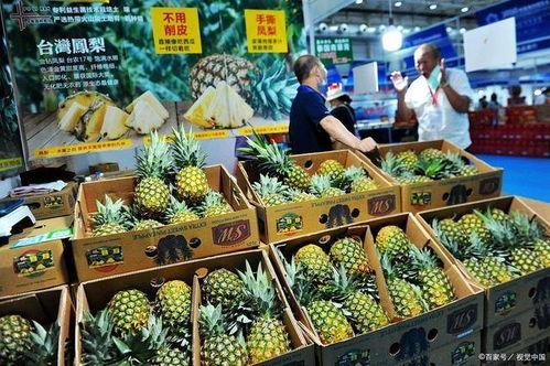 凤梨爆料视频大全最新版本