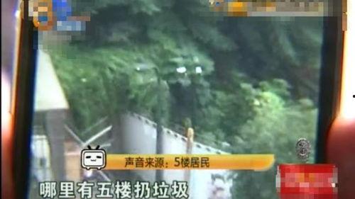 竹林小区新闻爆料事件视频,视频揭露惊人真相