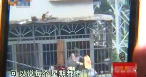 竹林小区新闻爆料事件视频,视频揭露惊人真相