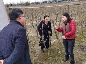 德惠农民最新爆料视频