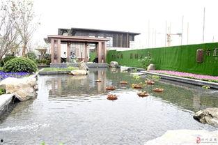 邓州房产爆料最新消息,揭秘房价走势与热门项目！